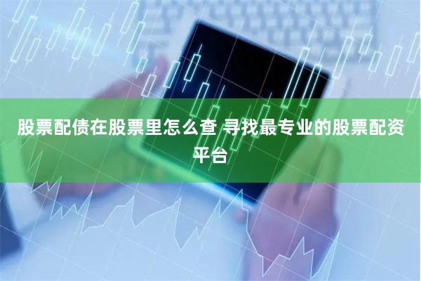 股票配债在股票里怎么查 寻找最专业的股票配资平台